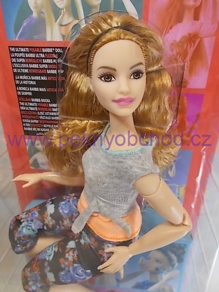 barbie ftg84